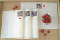 Strawberry Placemats