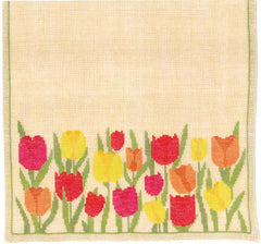 Colored Tulips