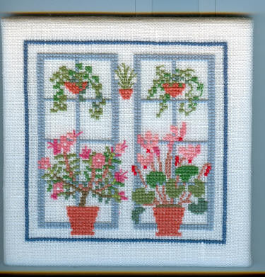 Azalea Azalea