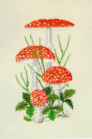 Fly Agaric Mushrooms