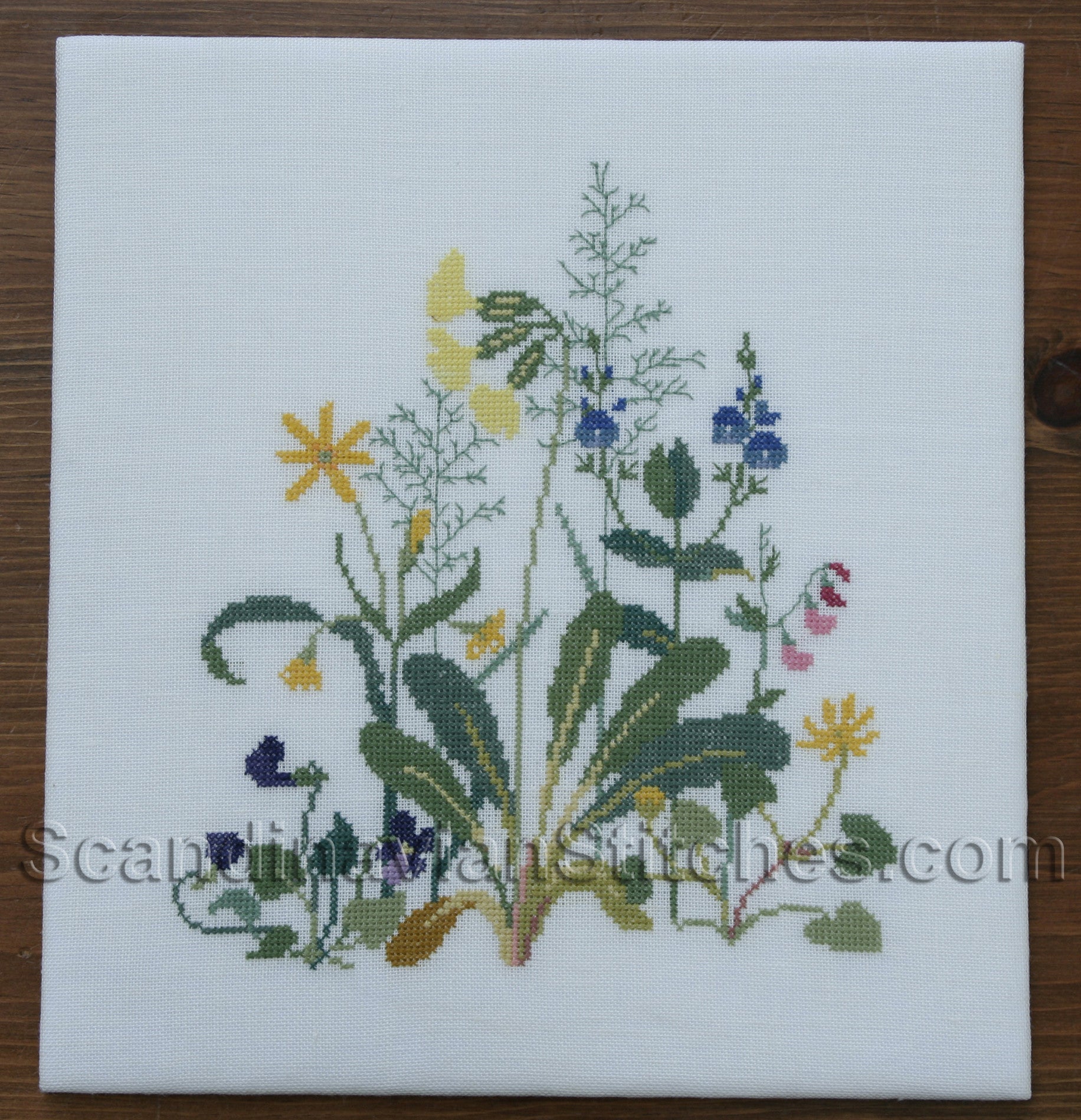 Forest Picture Forest Picture