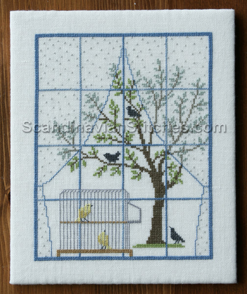 Birdcage in the Window