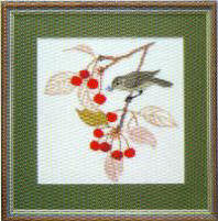 Garden Warbler Aug, 1993 Calendar Garden Warbler Aug, 1993 Calendar