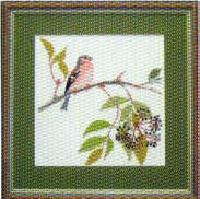 Chaffinch Sept, 1993 calendar Chaffinch Sept, 1993 calendar