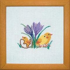 Chicken and Crocus