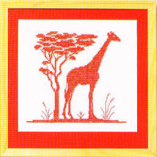 Giraffe and Acacia