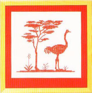 Ostrich and Acacia