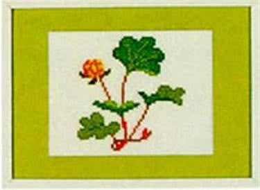 Cloudberry Cloudberry