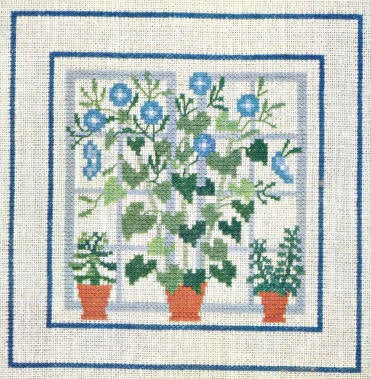 Bindweed Bindweed