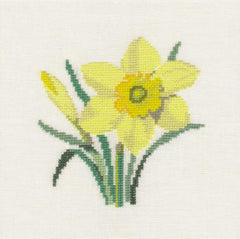 Daffodil