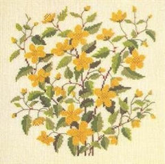 Kerria Japonica