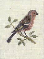 Chaffinch