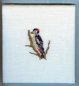 Woodpecker