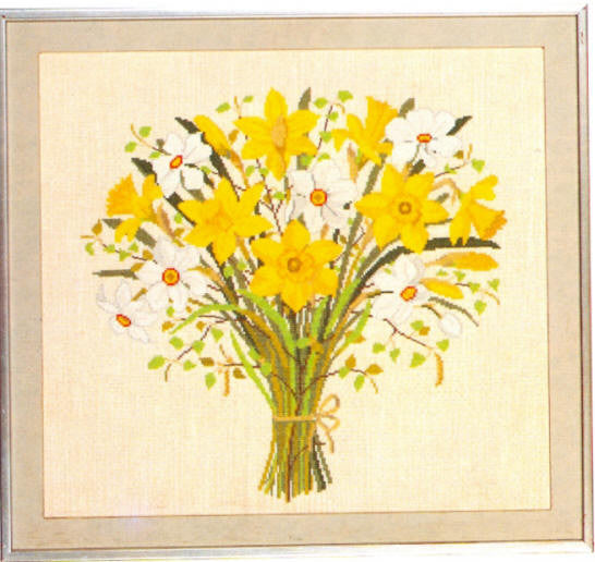 Daffodils & Narcissus