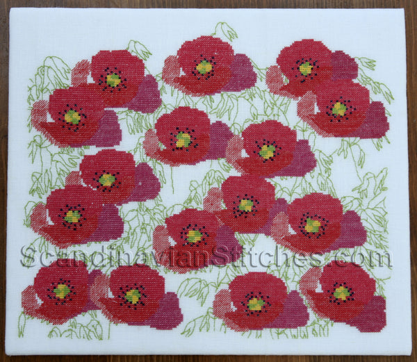 Poppies Picture