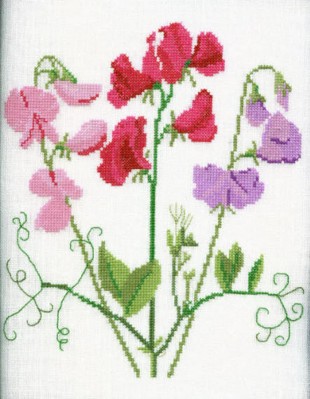 Sweet Peas