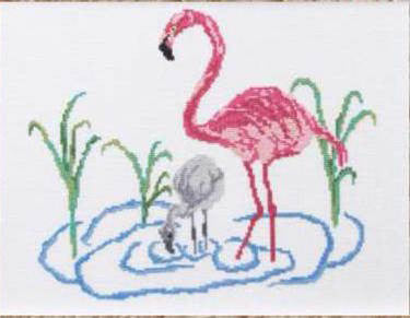 Flamingo